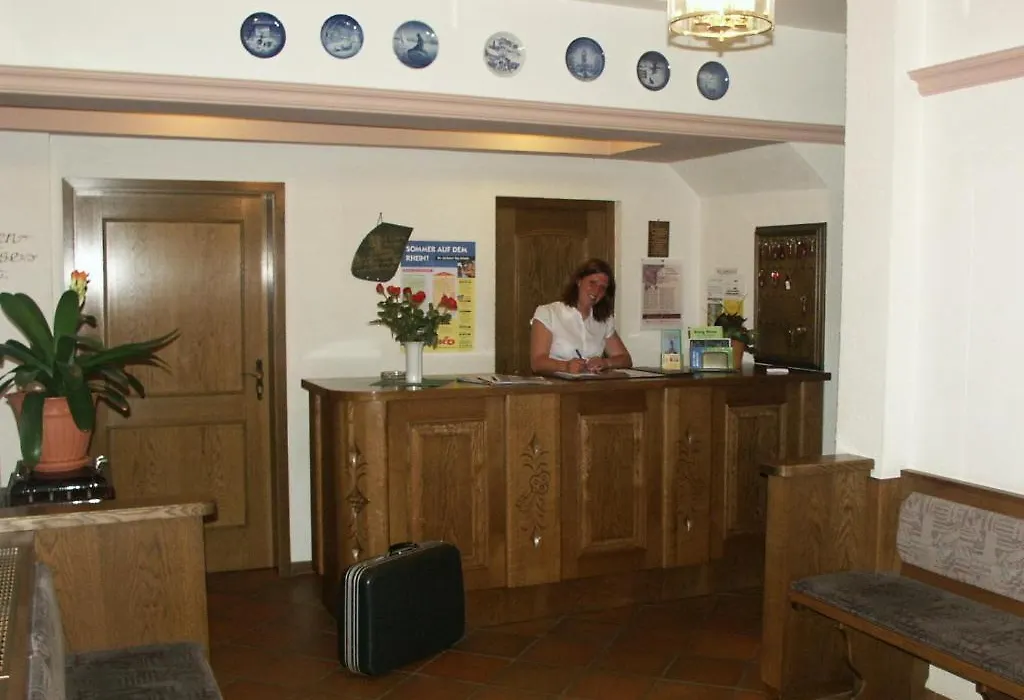 Hotel Rheinstein-1